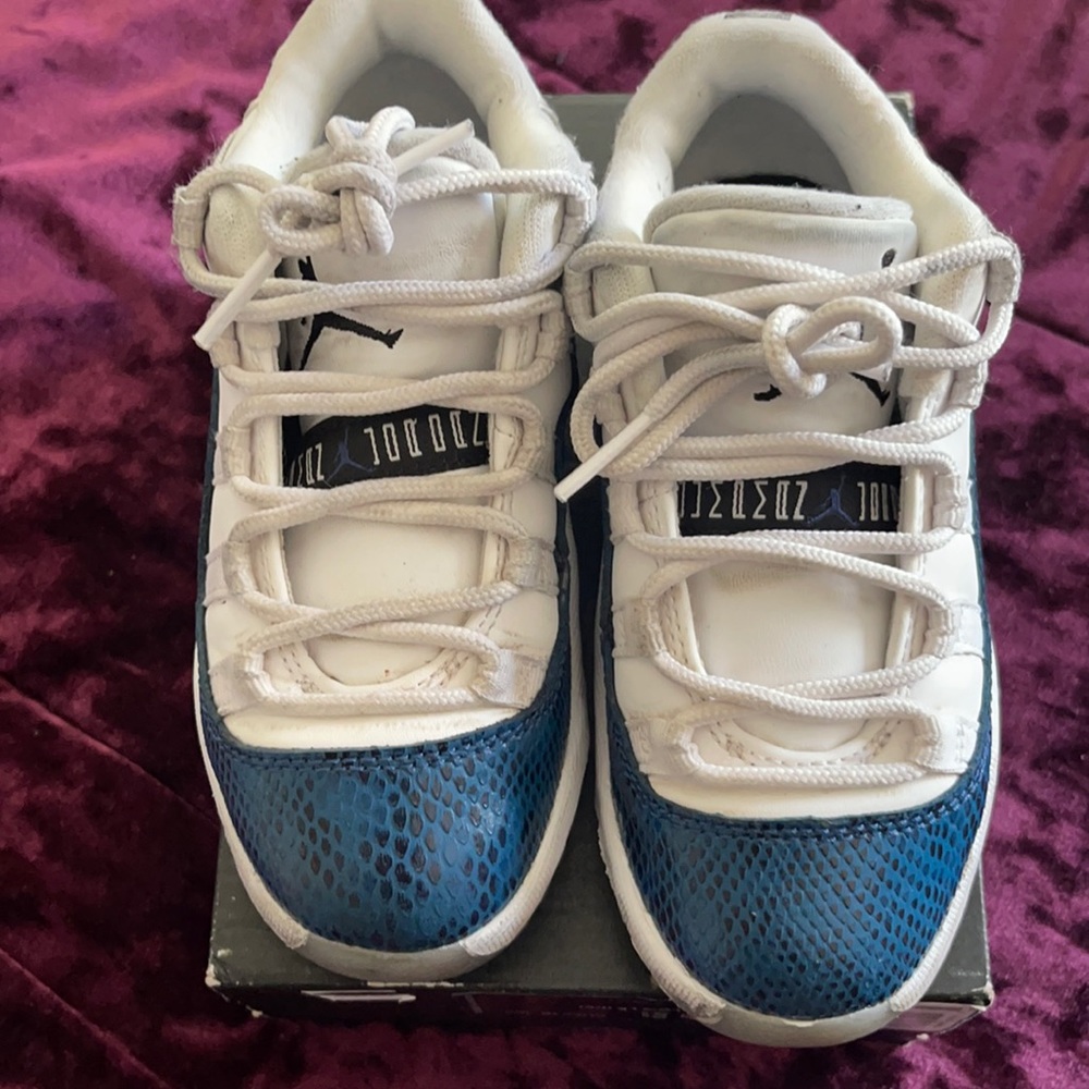 Used snakeskin Jordan 11